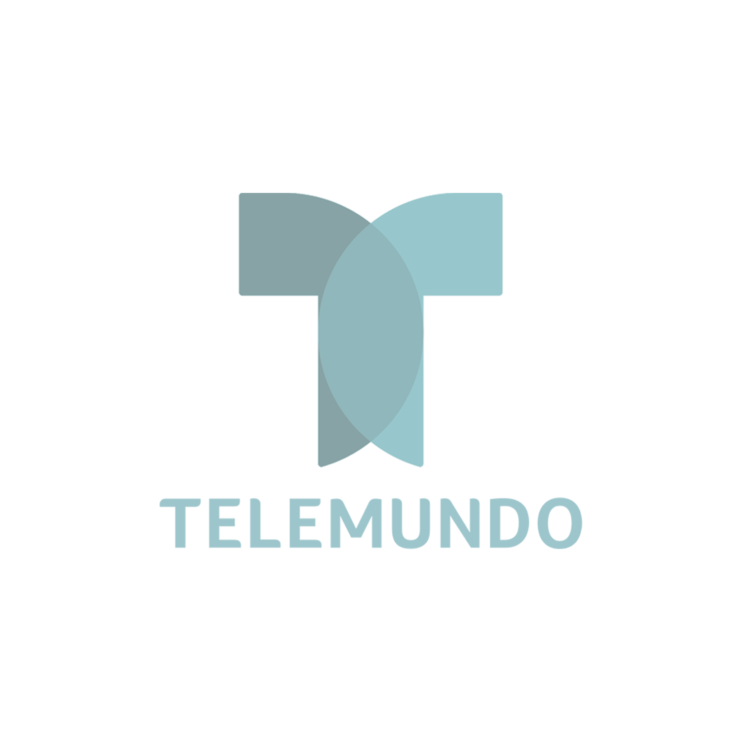 MICHELLE_LOGOS_TELEMUNDO